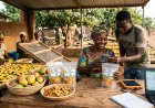 Construire l’Afrique digitale de demain : et si tout partait d’un atelier de mangues à Bobo ?