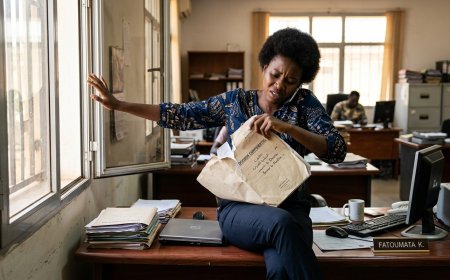 Au-delà du clic : Pourquoi l'illettrisme numérique est le nouveau défi de notre siècle